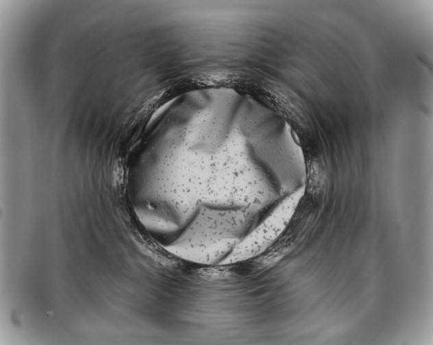 X0000097780284200803281708