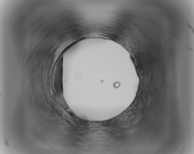 X0000097780289200803281708