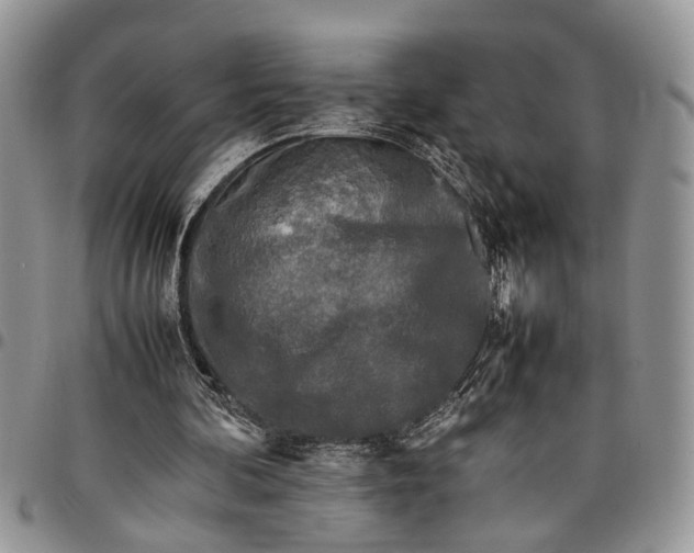 X0000097780292200803281707