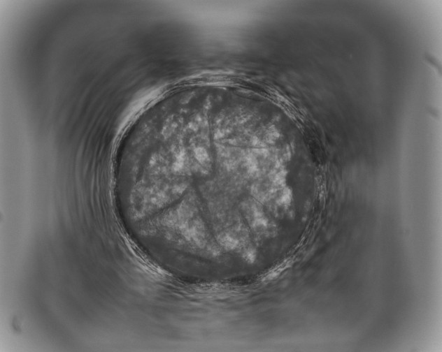 X0000097780293200803281707