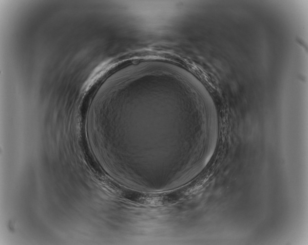 X0000097780295200803281707