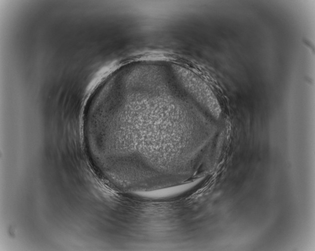 X0000097780296200803281707