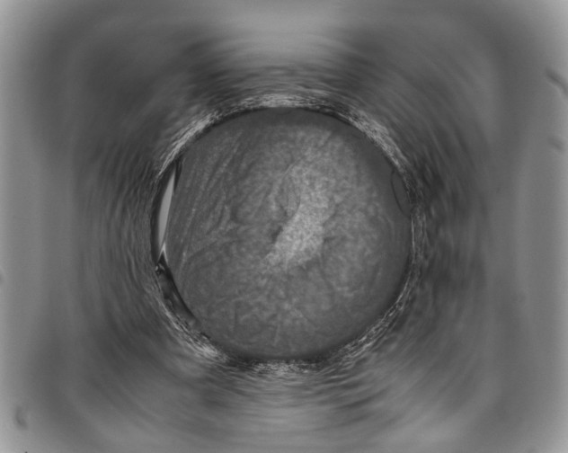 X0000097780297200803281707