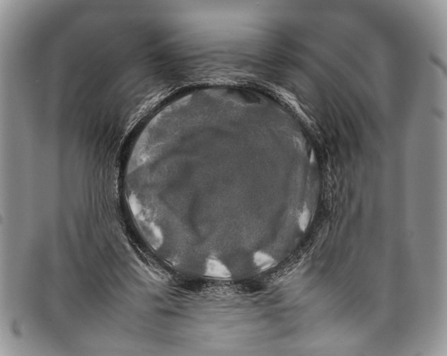 X0000097780299200803281707