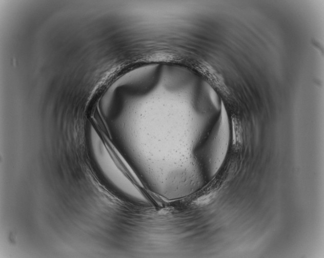 X0000097780300200803281707