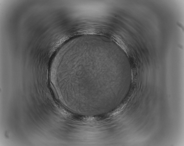 X0000097780301200803281707