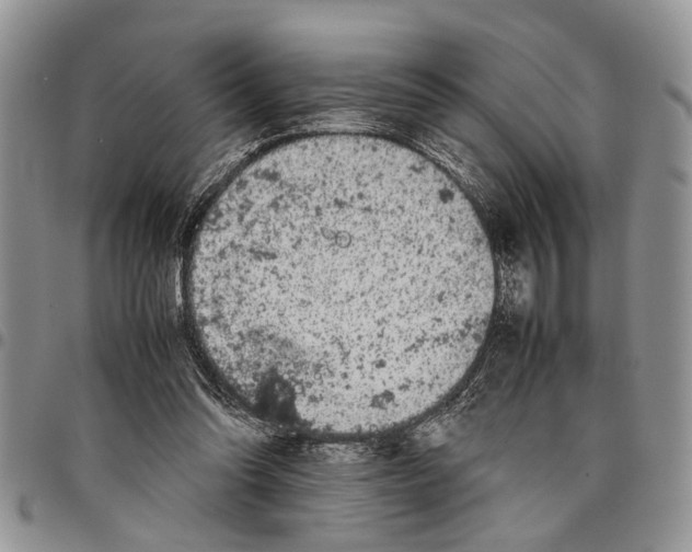 X0000097780302200803281707