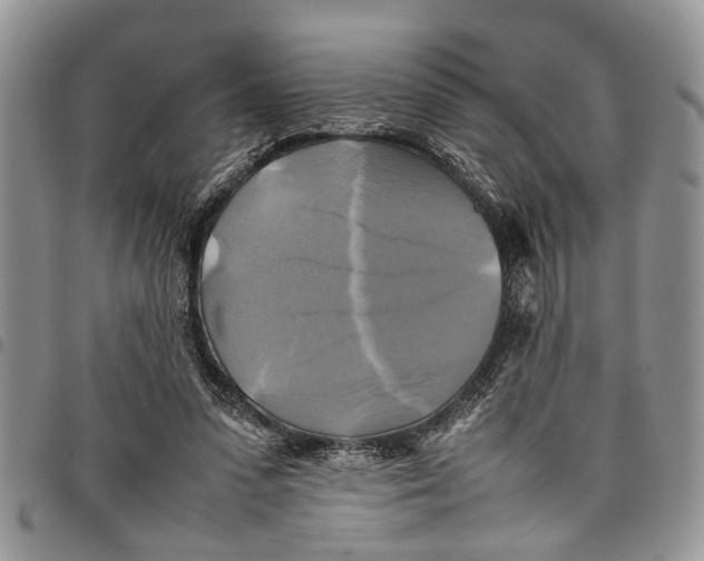 X0000097780303200803281707