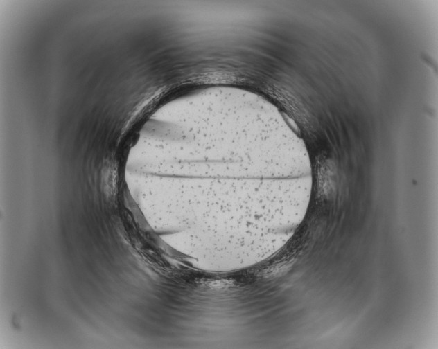 X0000097780304200803281707