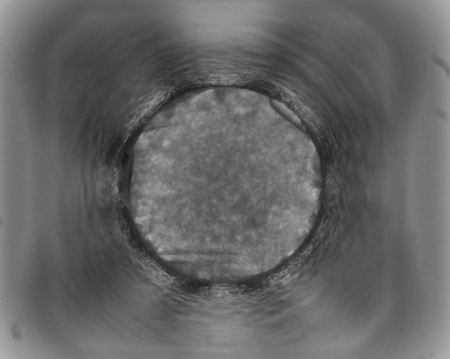 X0000097780305200803281707