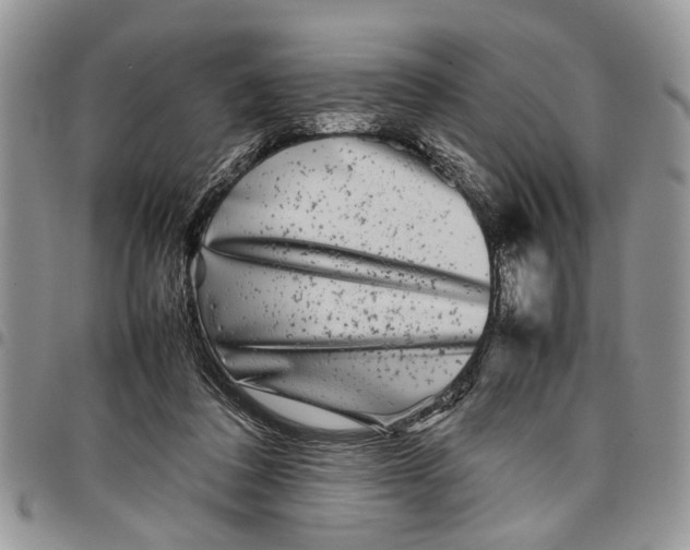 X0000097780308200803281707