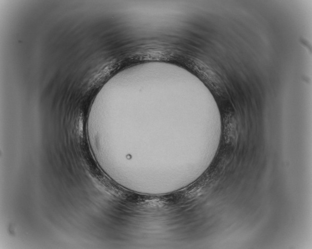 X0000097780310200803281707