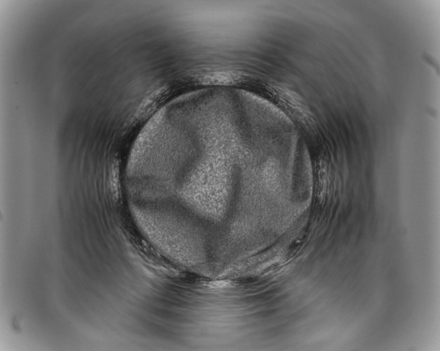 X0000097780312200803281707