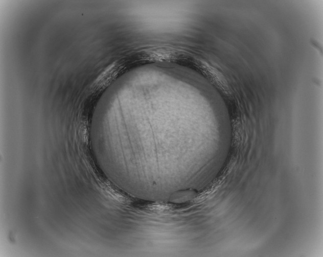 X0000097780313200803281707