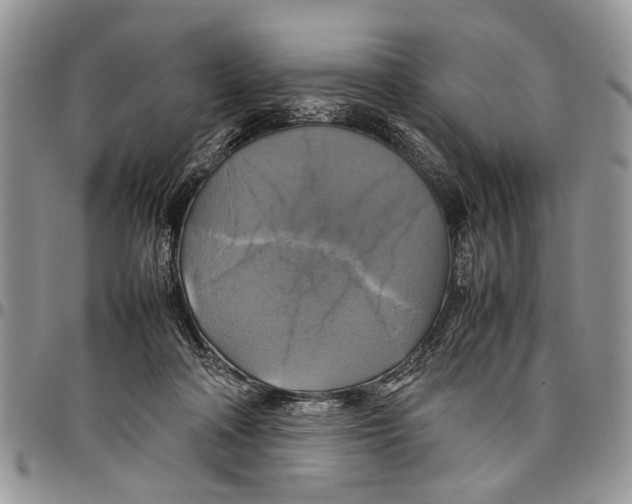 X0000097780314200803281707