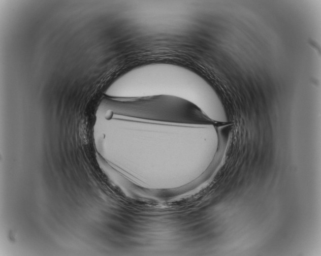 X0000097780316200803281707