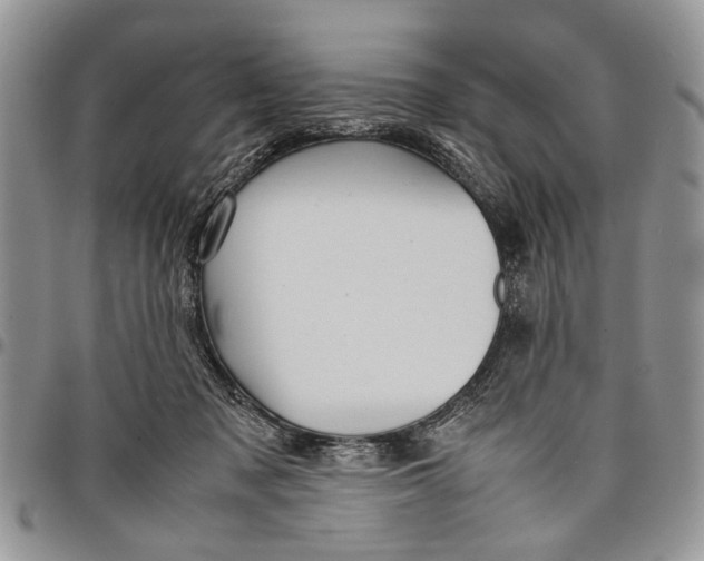 X0000097780317200803281707