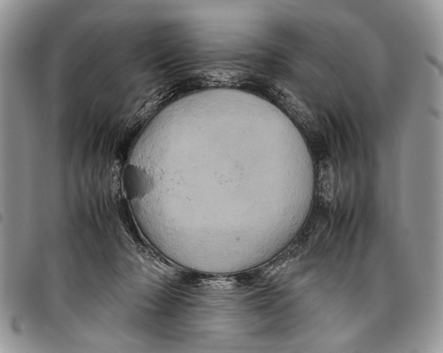 X0000097780318200803281707