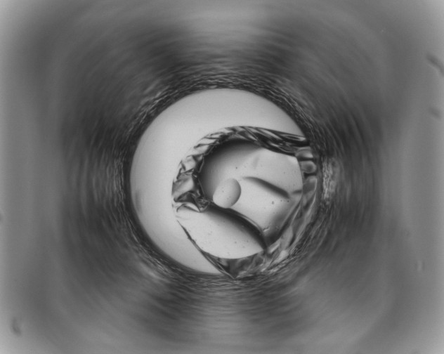 X0000097780320200803281707