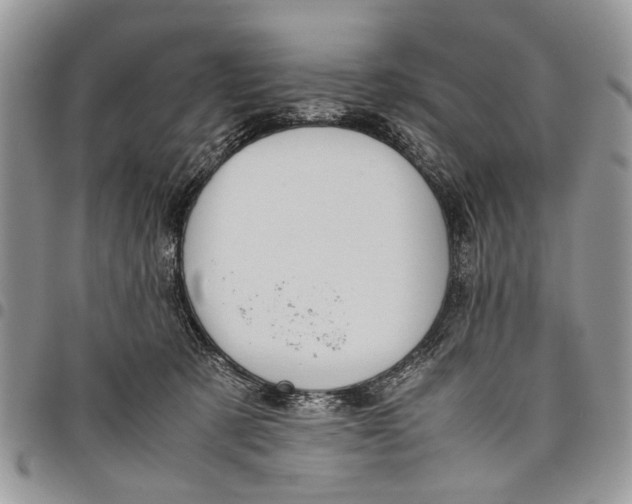 X0000097780321200803281707