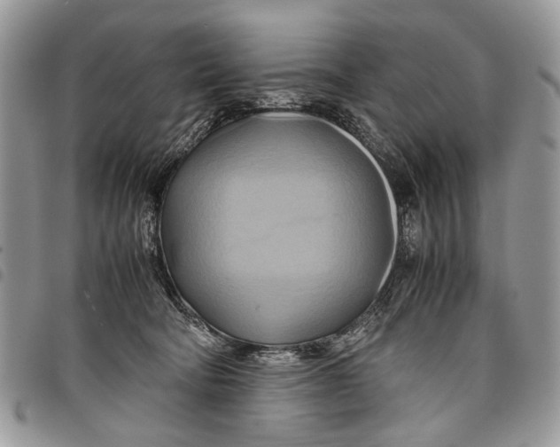 X0000097780322200803281707