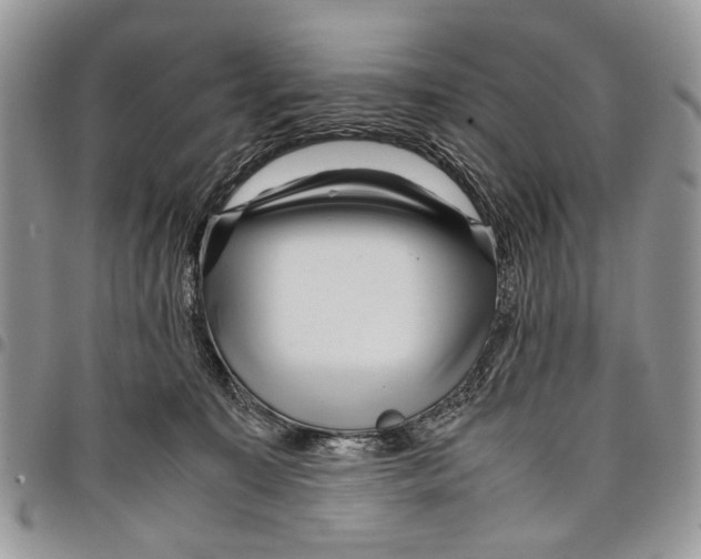 X0000097780323200803281707