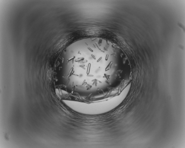 X0000097780325200803281707