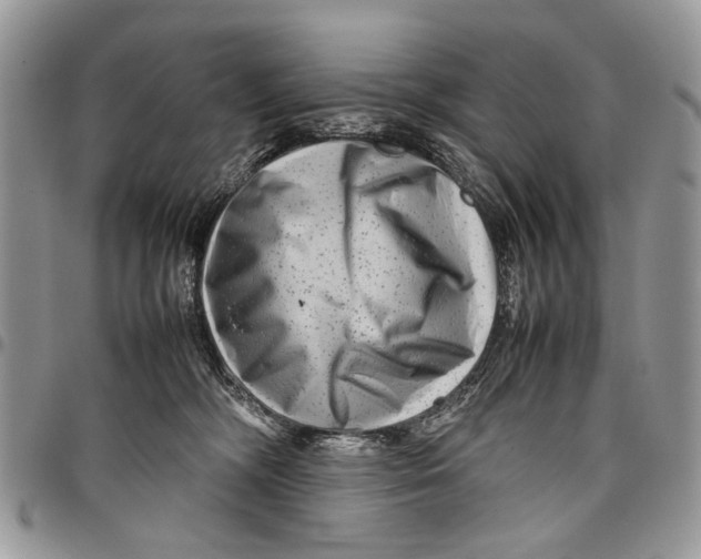 X0000097780326200803281707