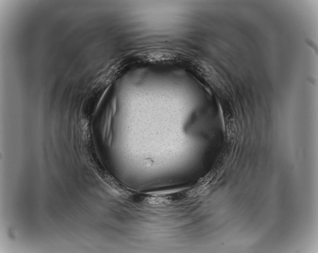 X0000097780327200803281707