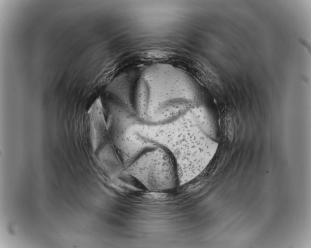 X0000097780328200803281707