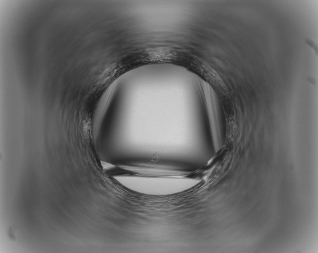 X0000097780329200803281707