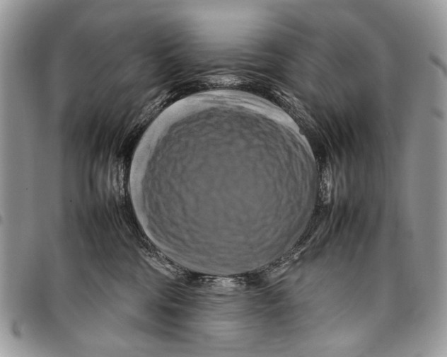 X0000097780330200803281707