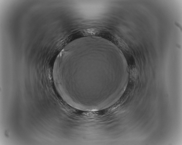 X0000097780331200803281707