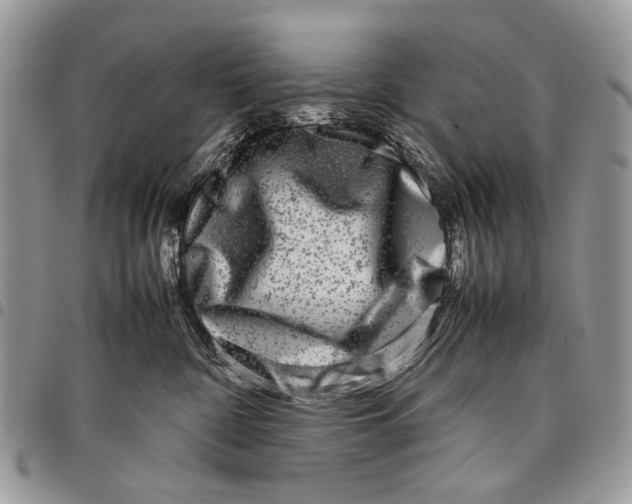 X0000097780332200803281707