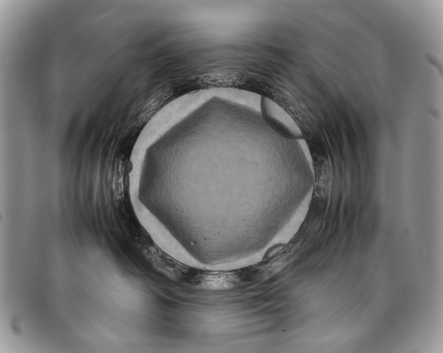 X0000097780334200803281707