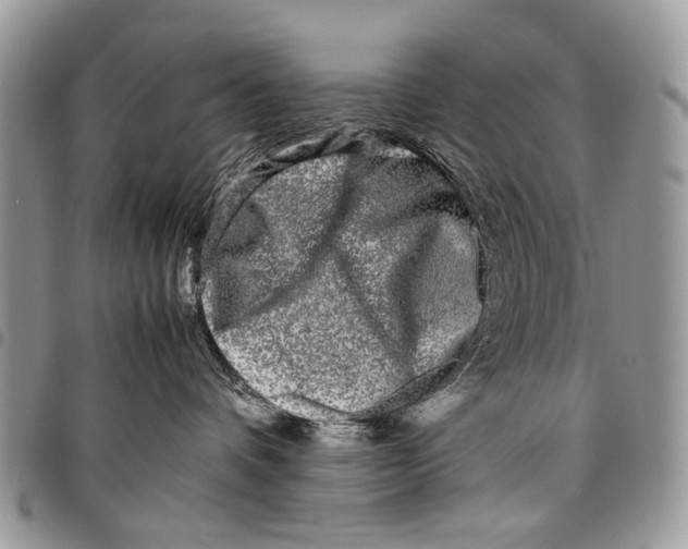 X0000097780336200803281707