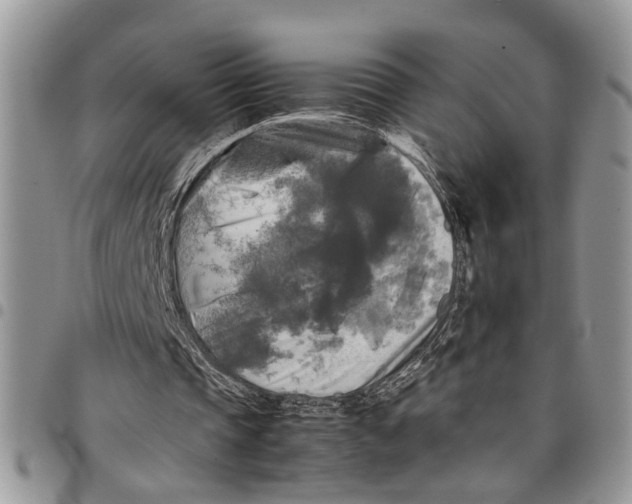 X0000097780337200803281706