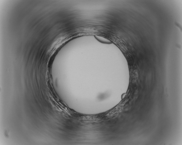 X0000097780338200803281706