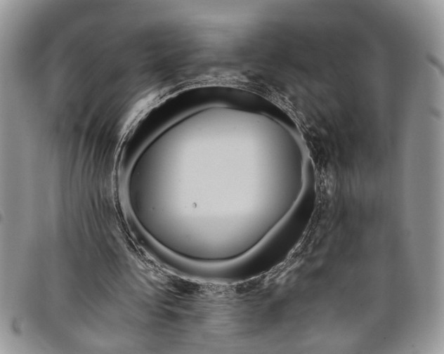 X0000097780340200803281706