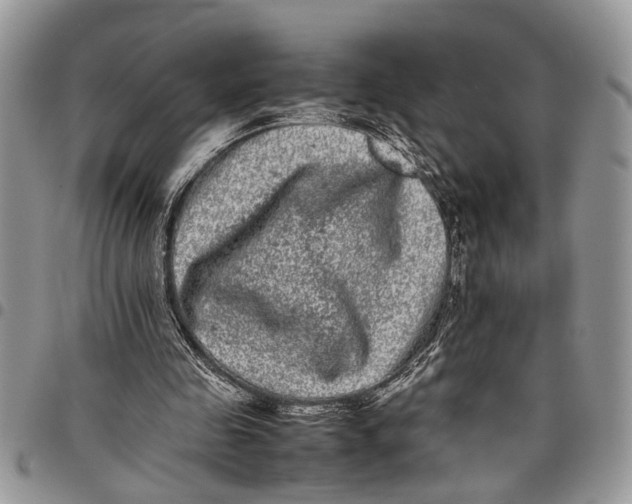 X0000097780341200803281706