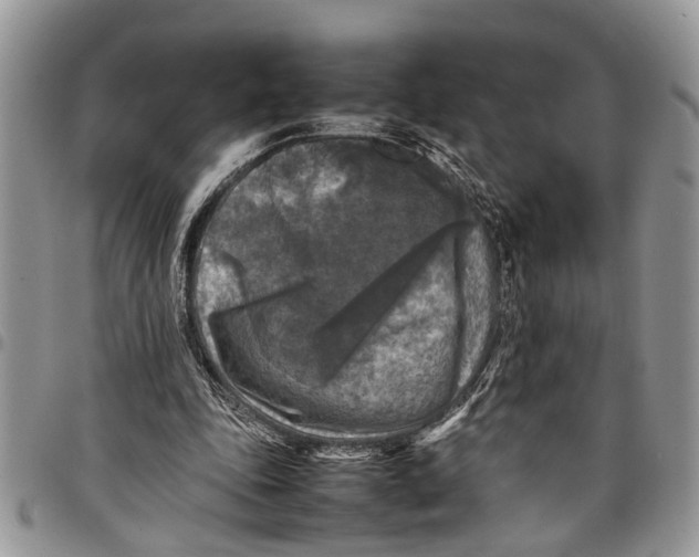 X0000097780343200803281706