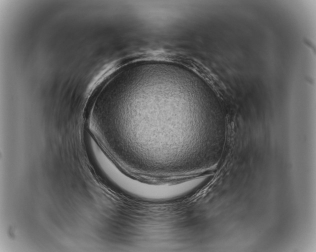 X0000097780344200803281706