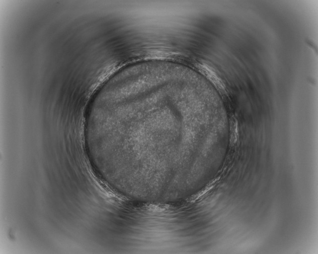 X0000097780346200803281706