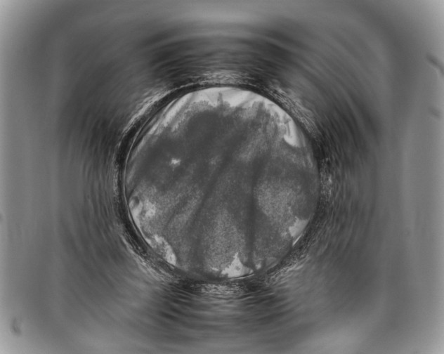 X0000097780347200803281706