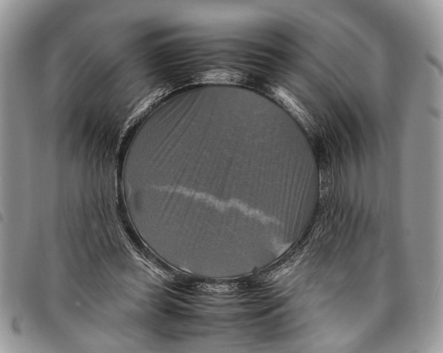 X0000097780349200803281706