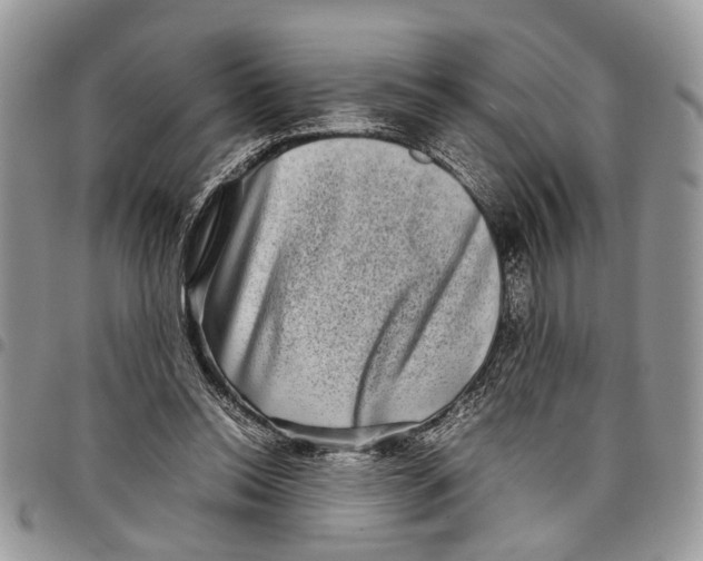 X0000097780350200803281706