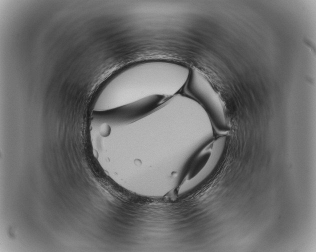 X0000097780352200803281706