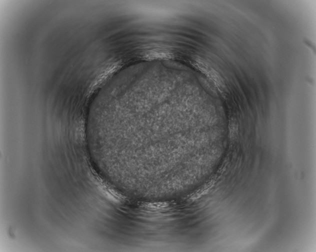 X0000097780353200803281706