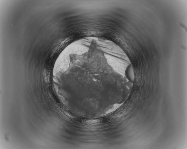 X0000097780357200803281706