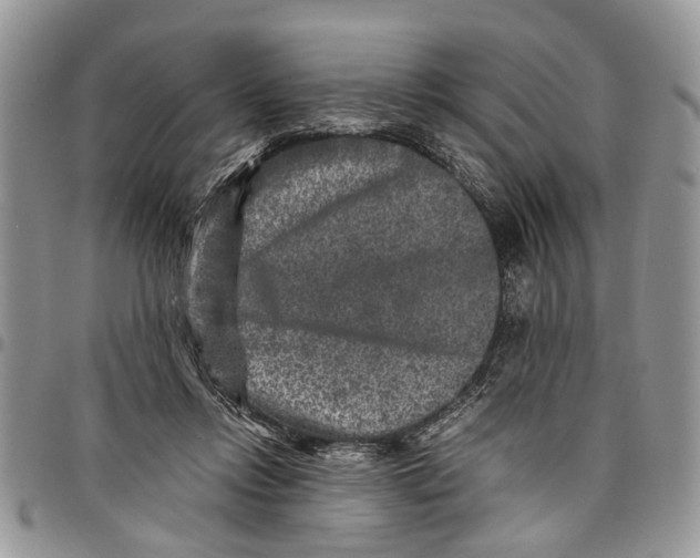 X0000097780358200803281707